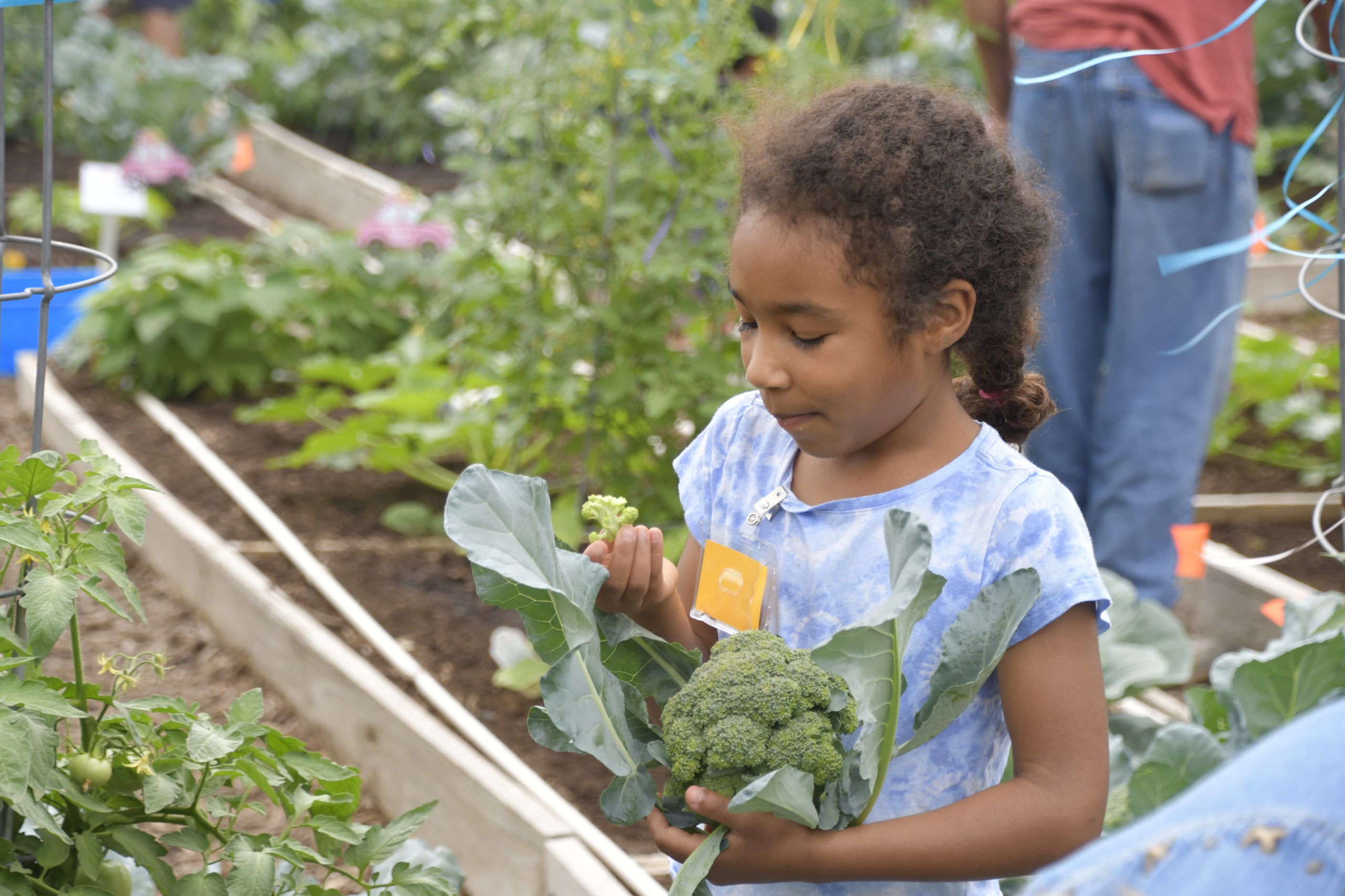 Children’s Vegetable Garden – Spring 2023